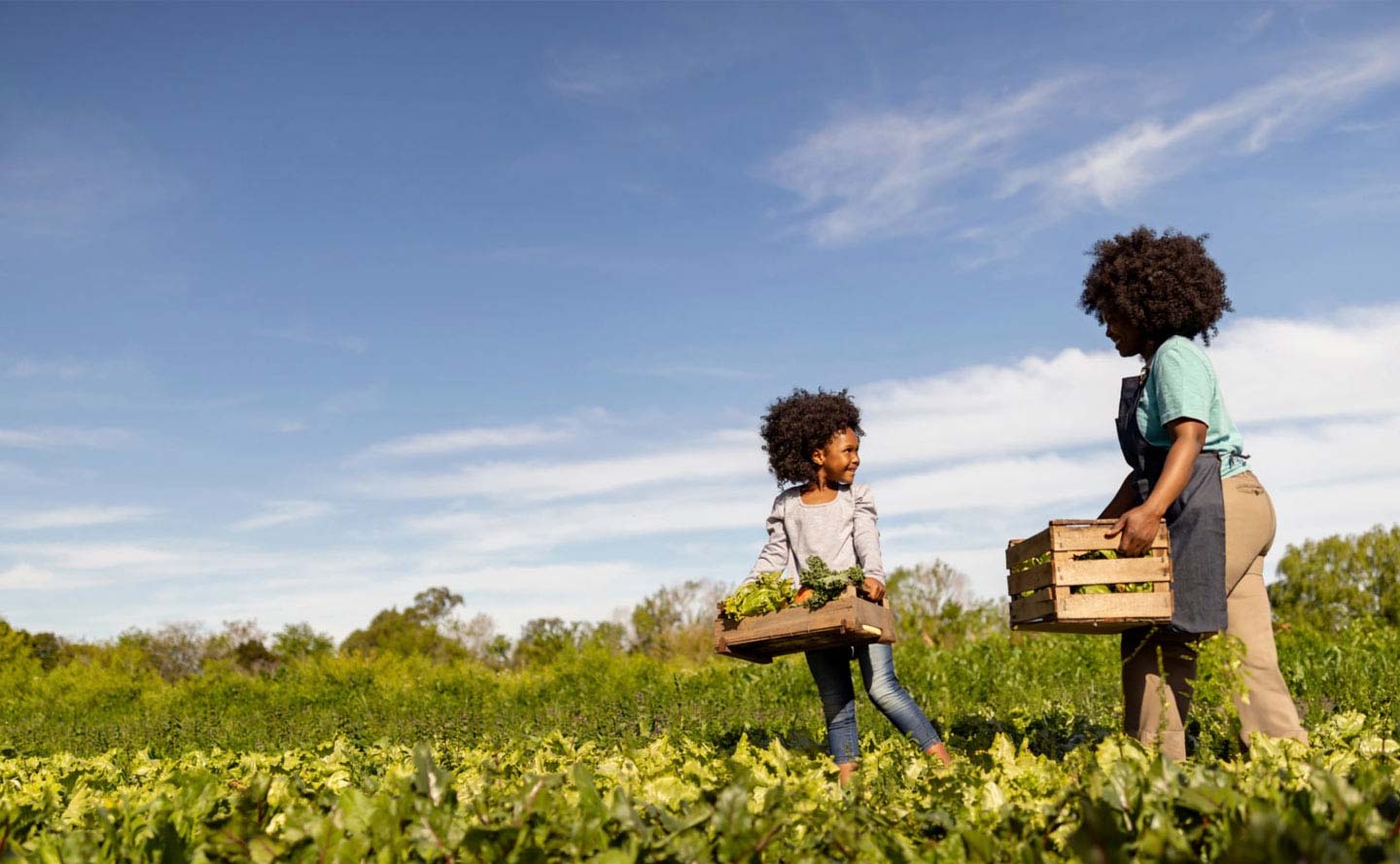 Sostenibilidad ods en los planes de desarrollo Colombia