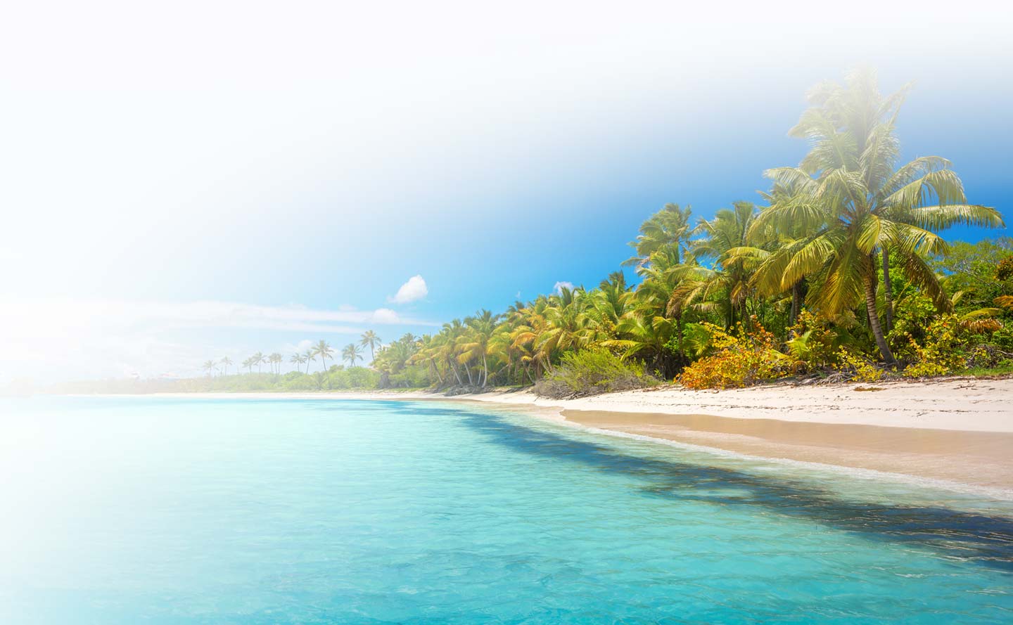 Paquete a Punta Cana: vuelos, hotel y actividades incluidas