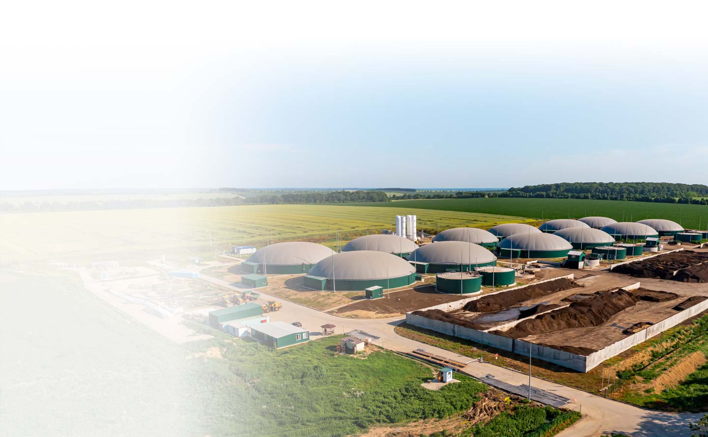 Bioenergía: una oportunidad de desarrollo agropecuario, social y ambiental