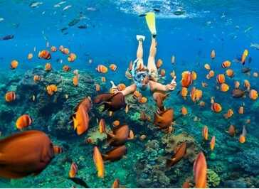Explorar experiencias y tours desde Colombia