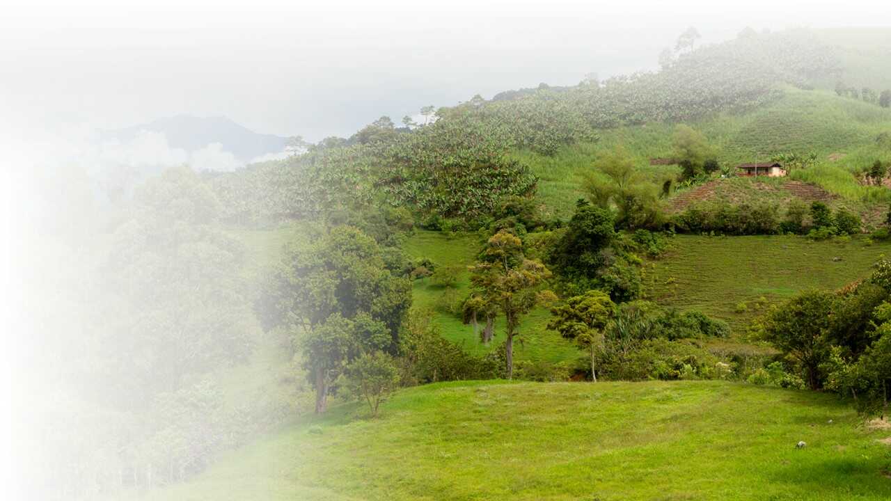 Cuánto cuesta un terreno en Colombia: qué revisar para comprar