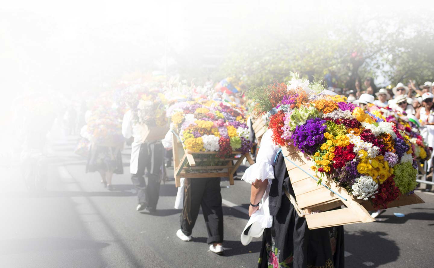 Prográmate para la Feria de las Flores 2025 - Tu360Compras 