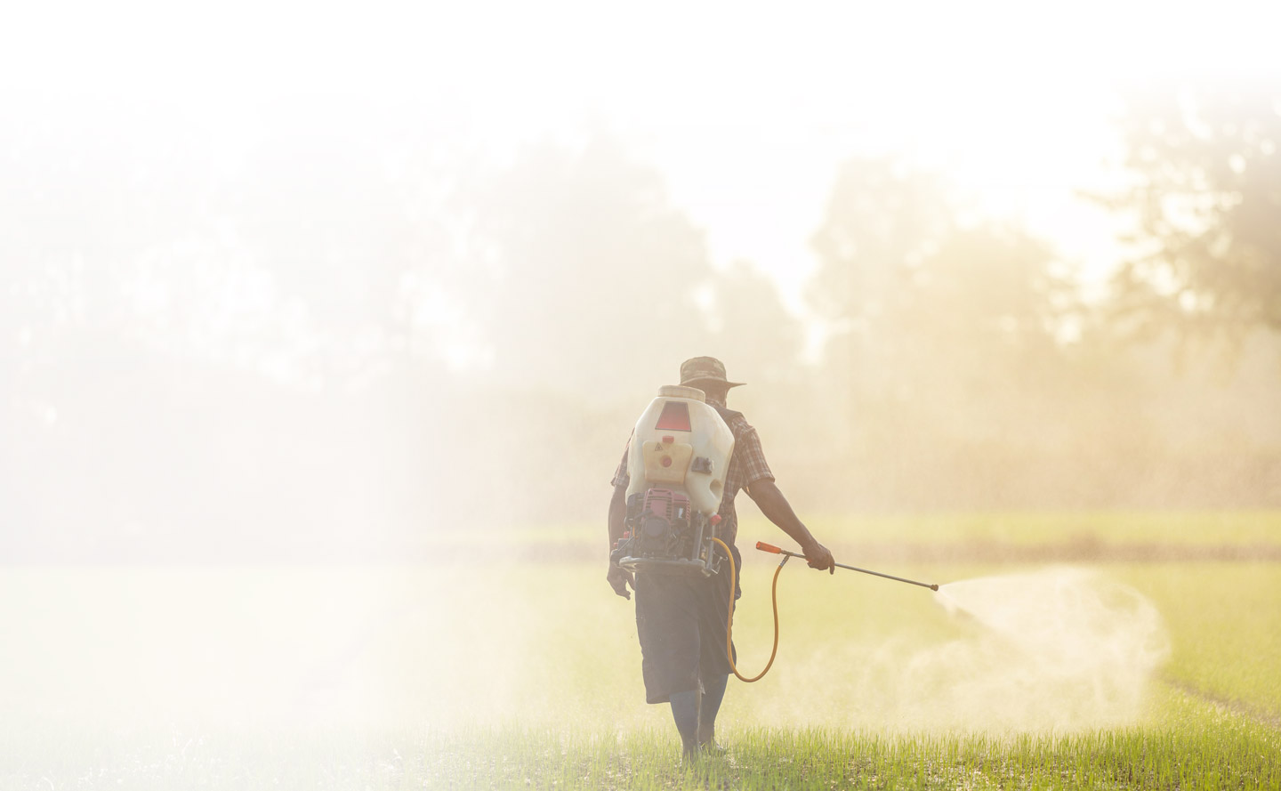 Papel del gas natural en la producción de fertilizantes