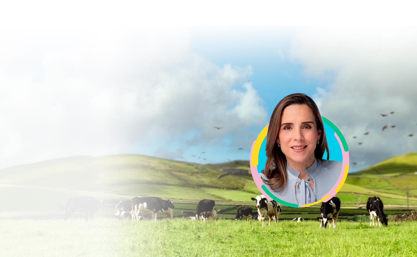 Ana María Gómez Montes, presidenta ejecutiva de Asoleche.