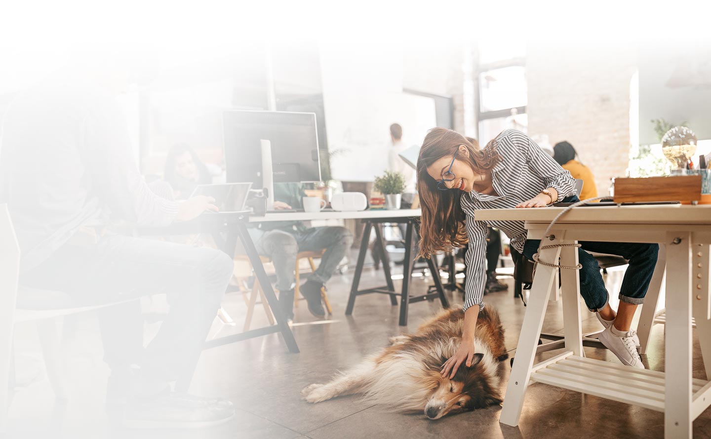 La felicidad y la productividad van de la mano