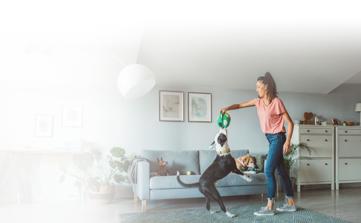 Medellín desplazó a Bogotá como la ciudad con arriendos más caros del país.