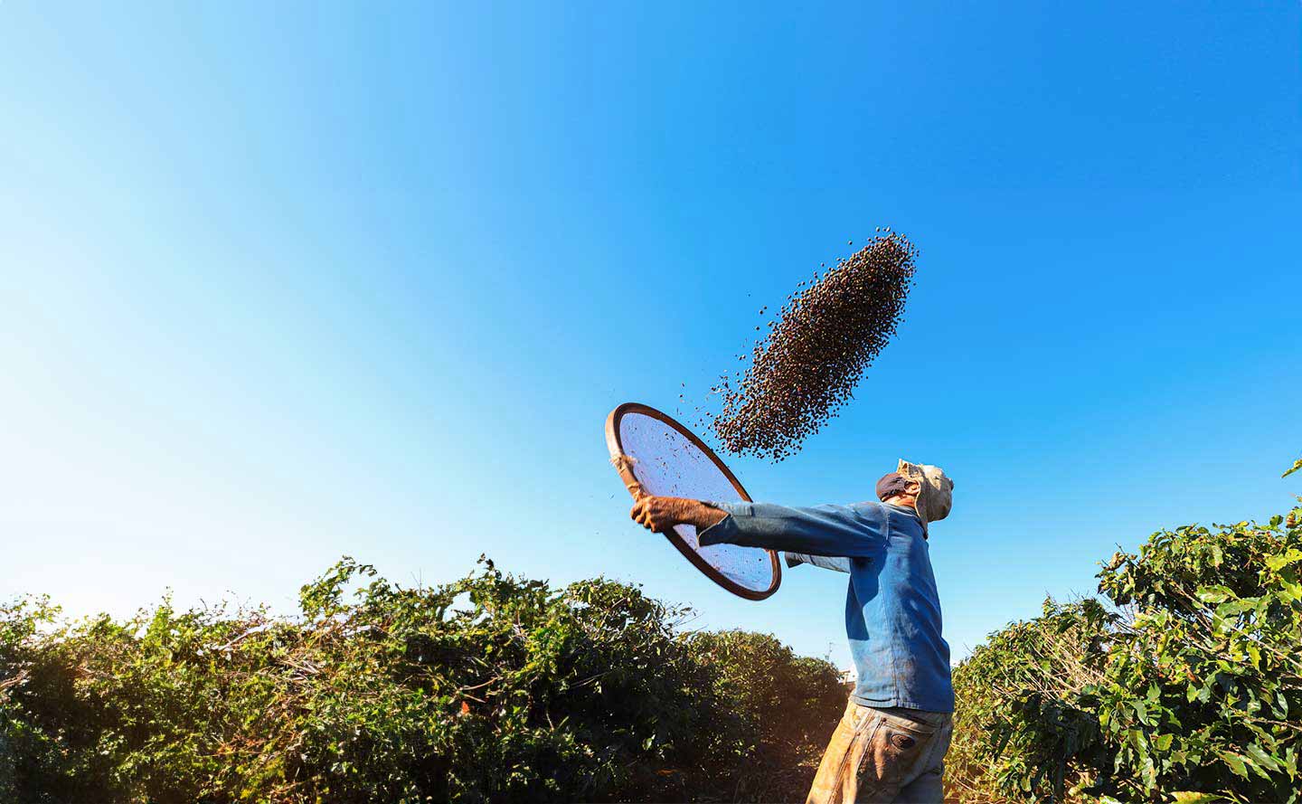 Radiografía del sector agropecuario en el segundo trimestre de 2021