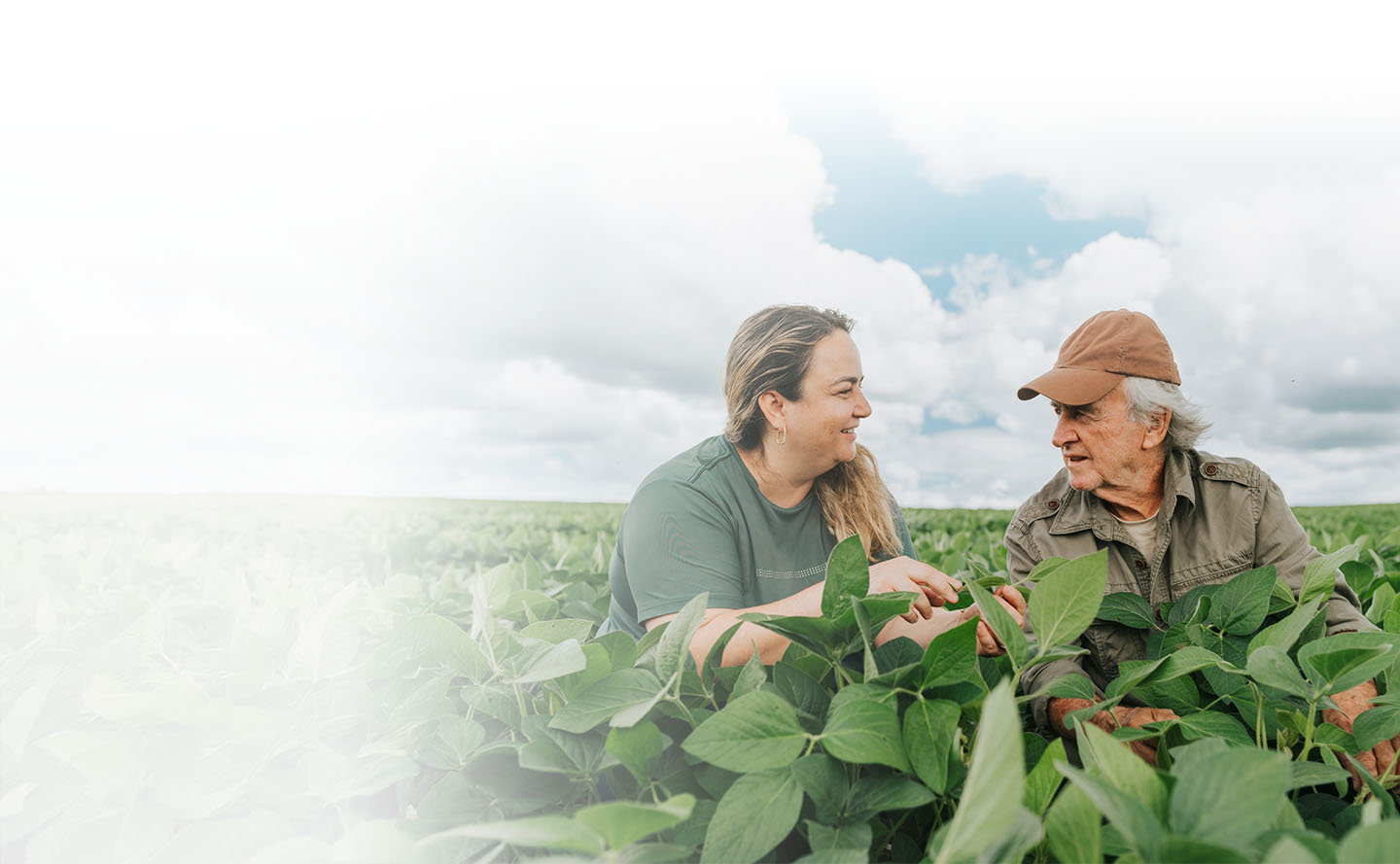 Migroseguros para proteger a los agricultores en África: Pula