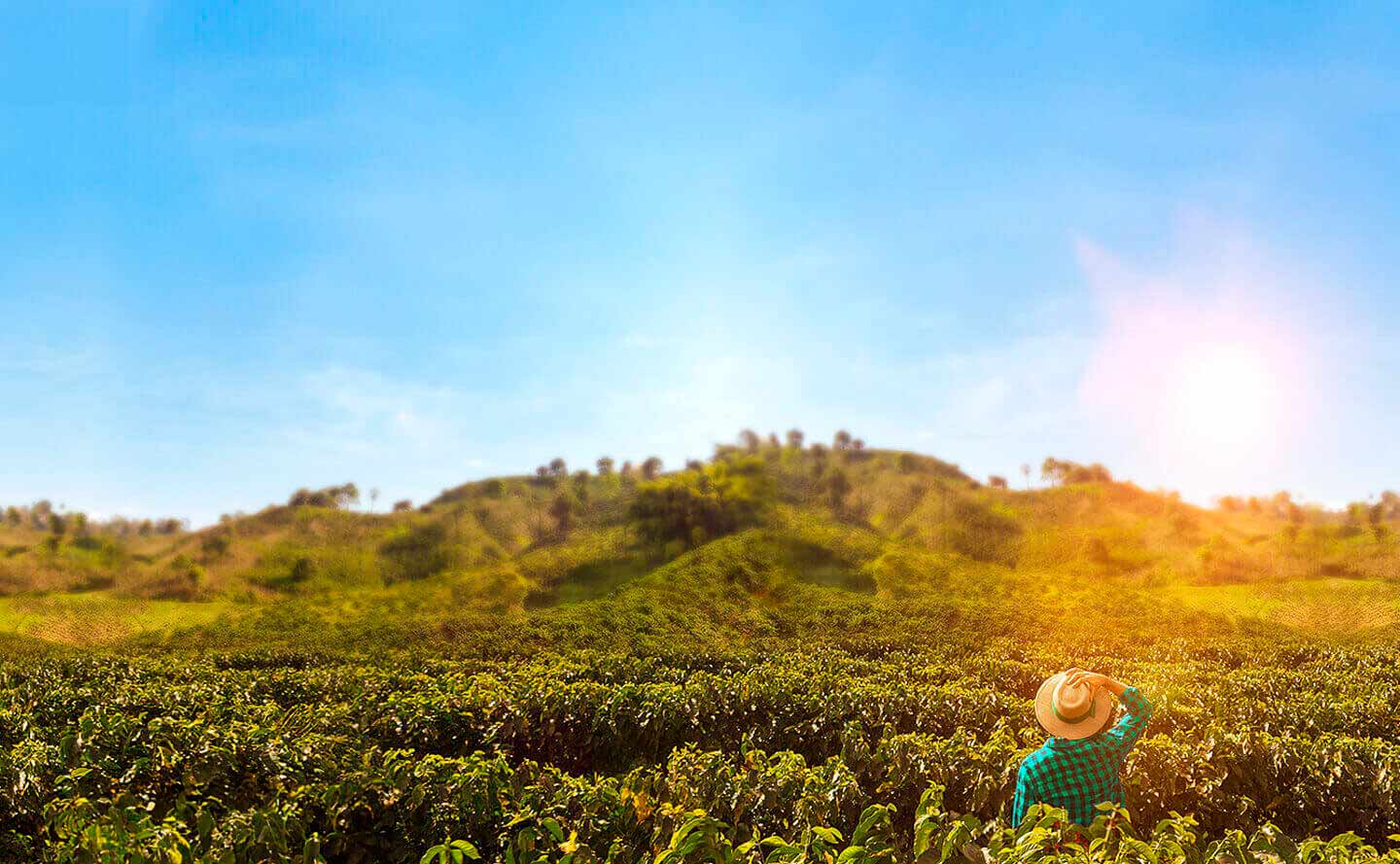 Temas en tendencia del sector agropecuario en Colombia