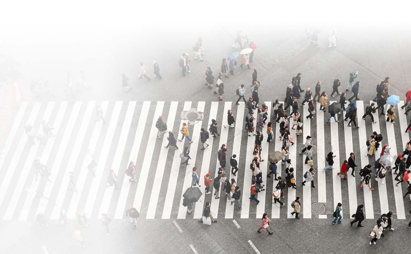 Identifica el lenguaje del miedo y la manipulación en política