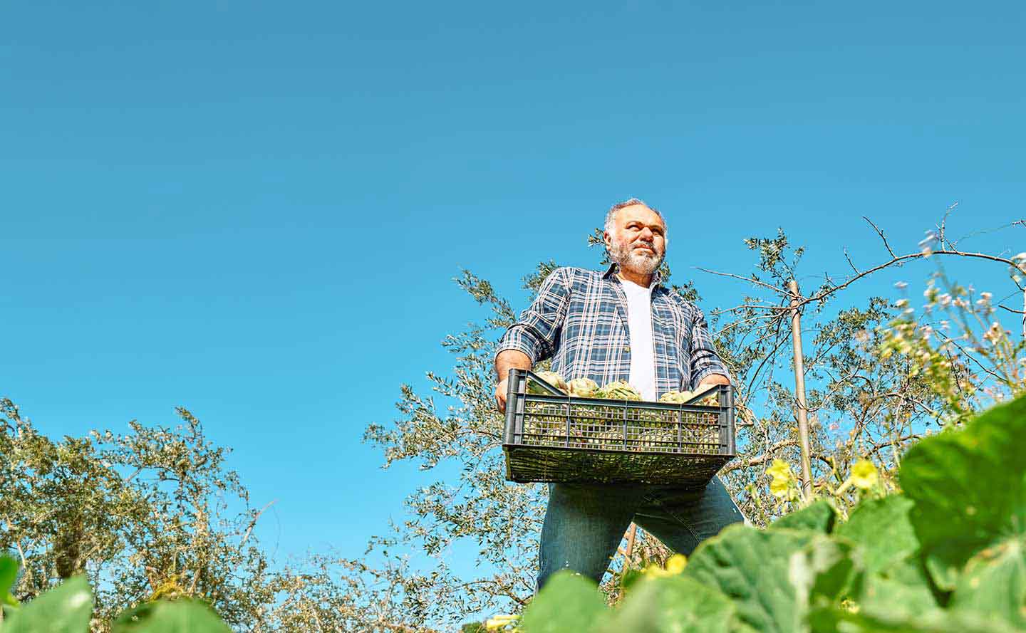 Informe del sector agropecuario tercer trimestre de 2021