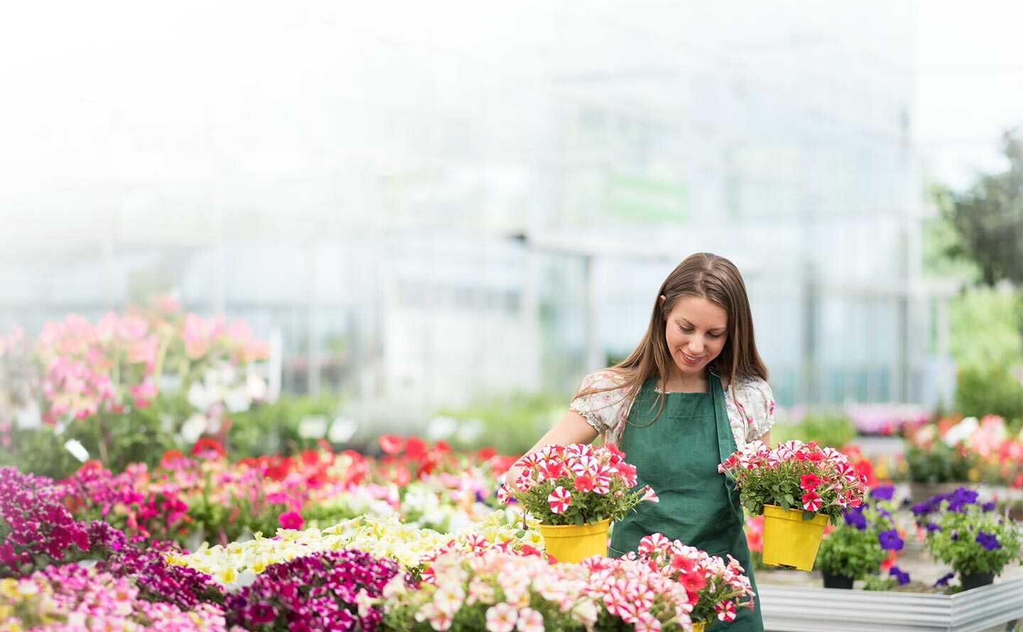 Retos y oportunidades del sector floricultor por covid-19