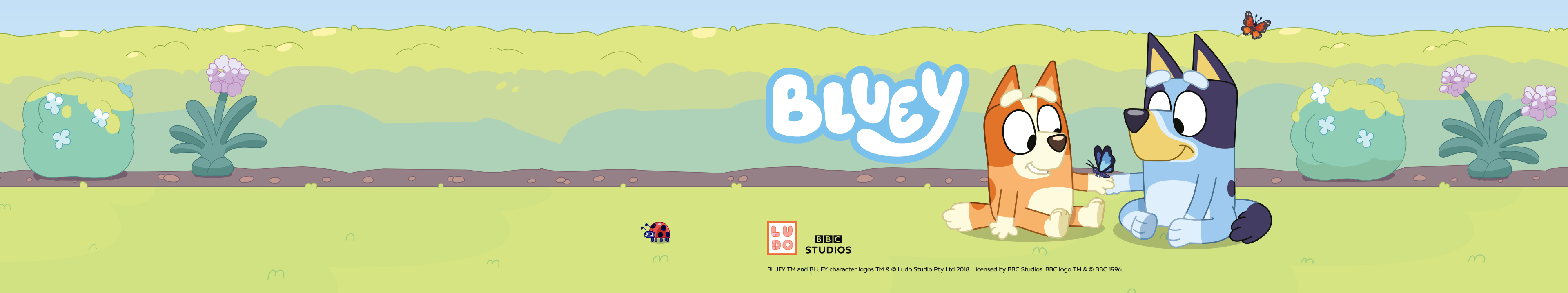 Bluey glasses