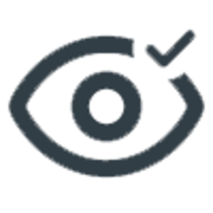 Eye with a tick/check illustrated icon