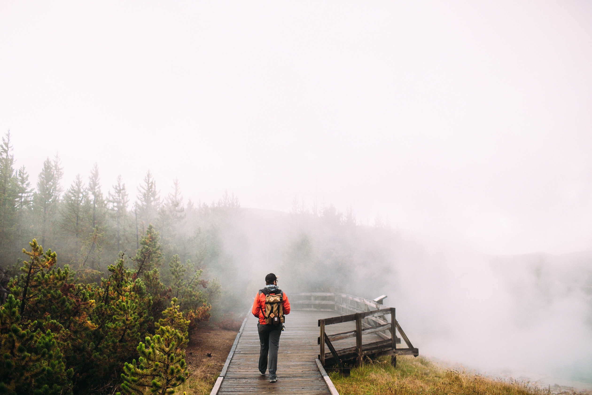 Photo of a person walking down a hiking trail surrounded by trees and fog.