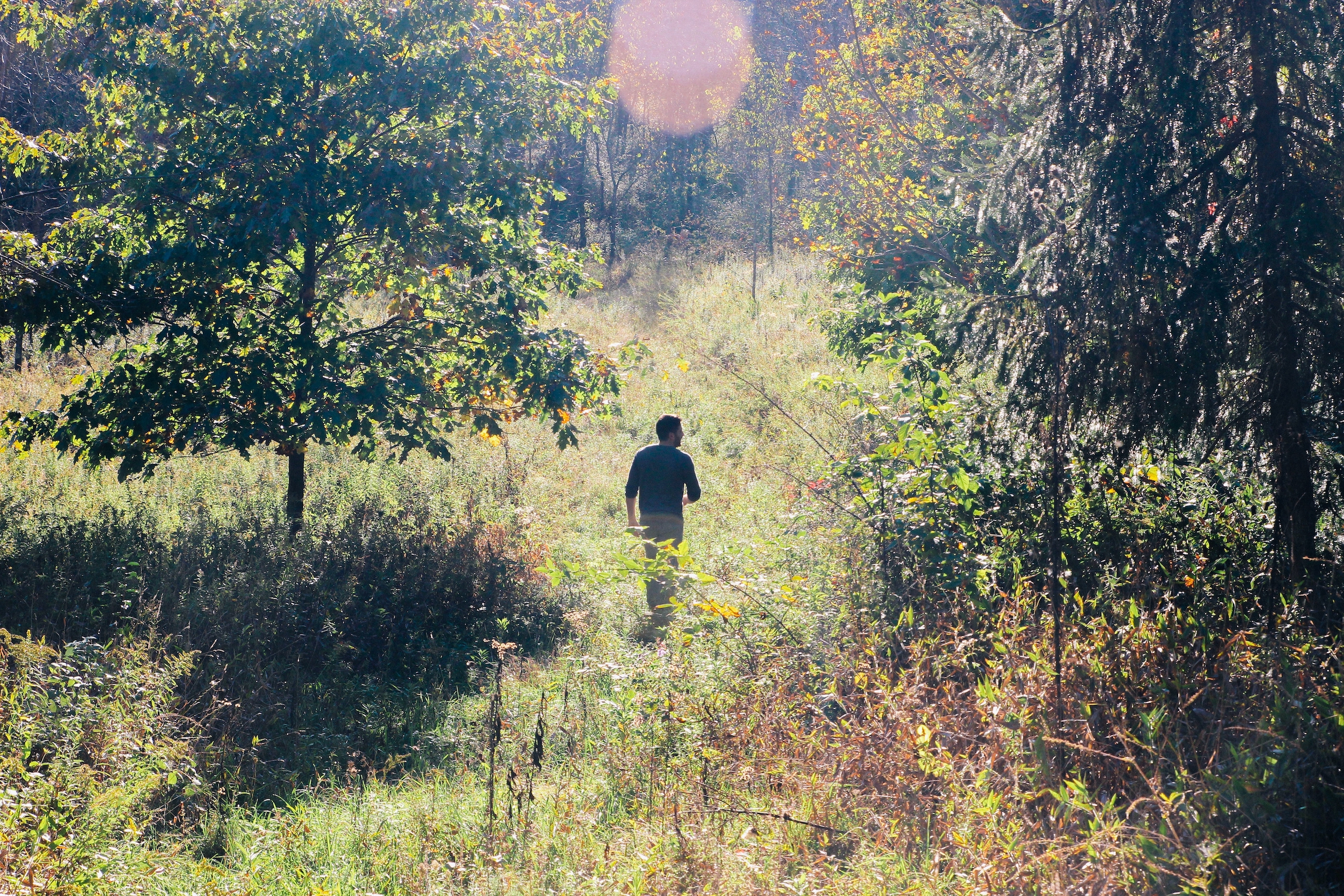 Photo of a person walking alone through a lush forest.