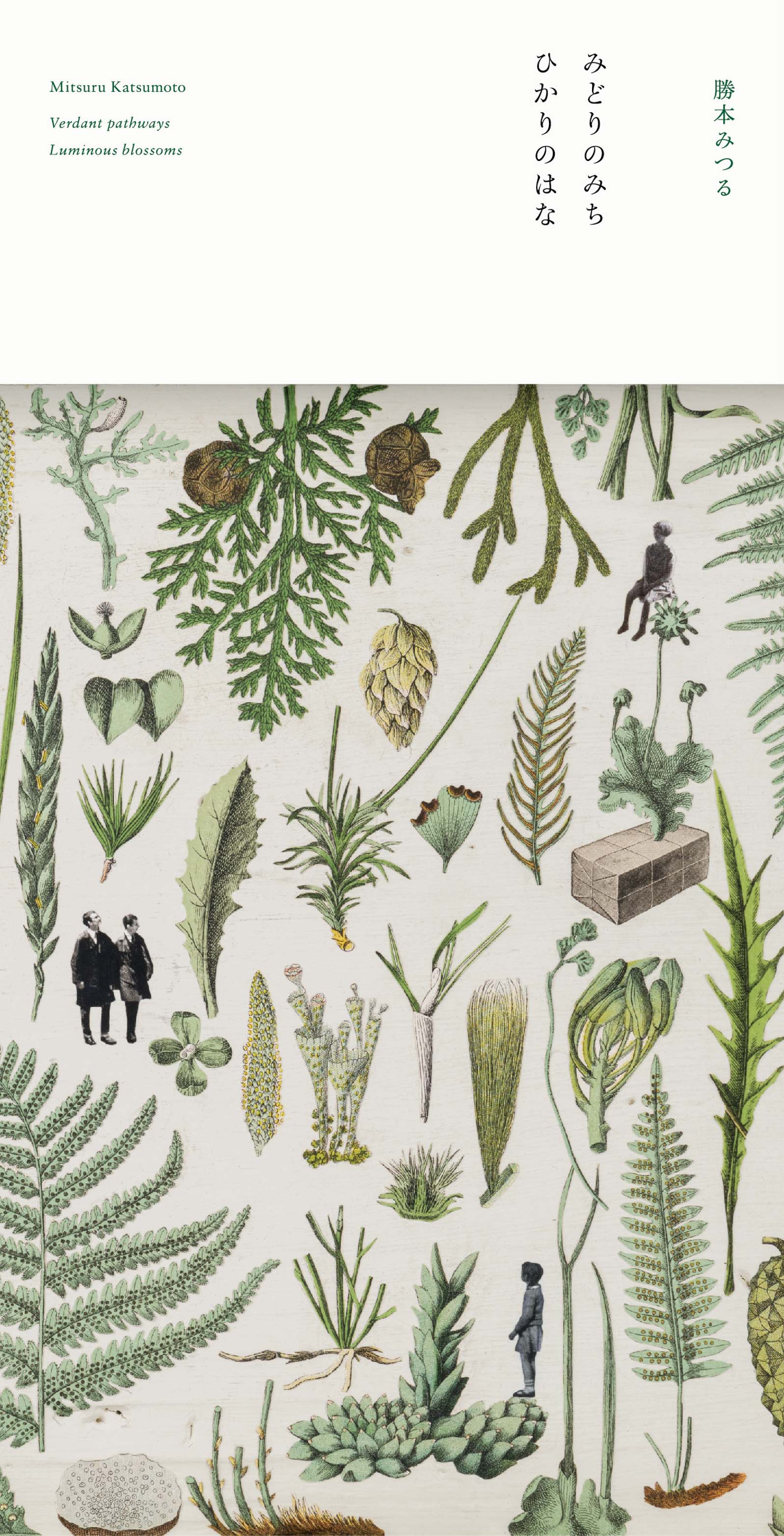 みどりのみち　ひかりのはな