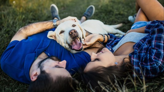 Pet Insurance For Dogs: Is It Worth It?
