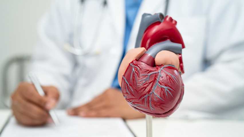 choroby układu krążenia