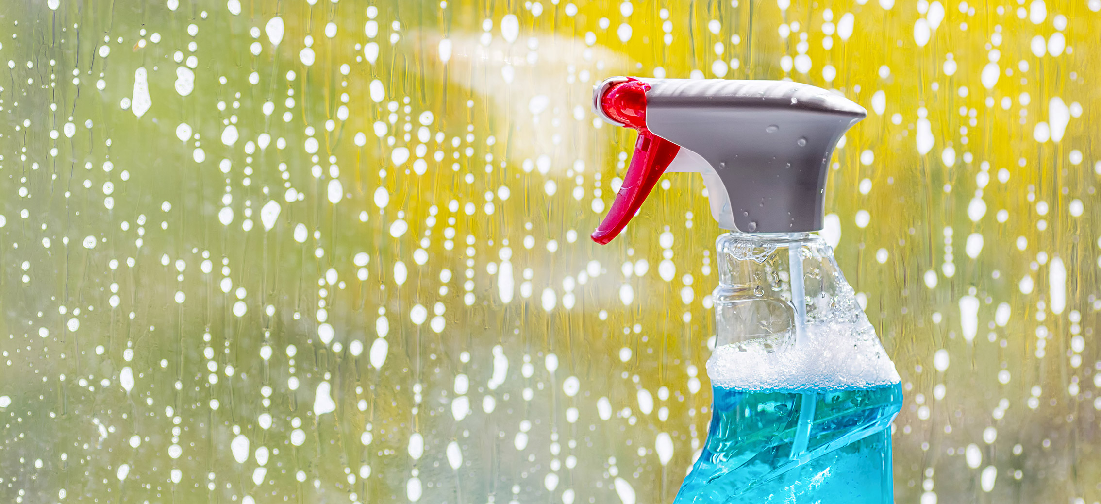 Window Cleaning Tips for Homeowners