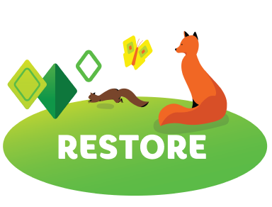 Restore