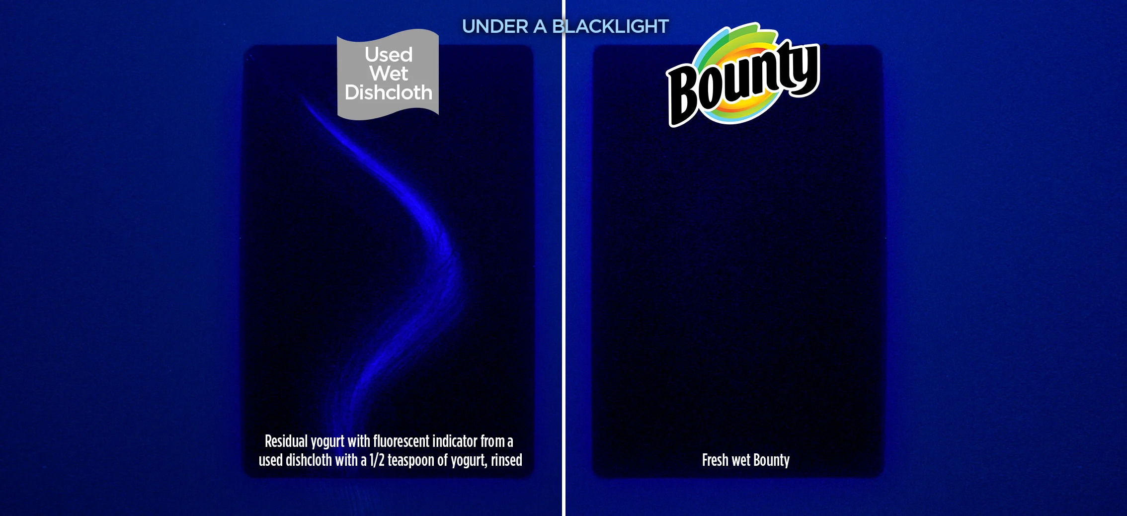 Blacklight showing residual mess left behind from a used wet dishcloth vs a clean surface from a fresh wet sheet of Bounty paper towel  