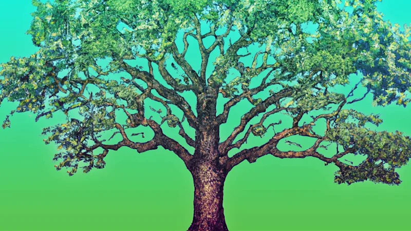 An illustration of a tree with a large trunk and numerous small branches, against a green gradient background.