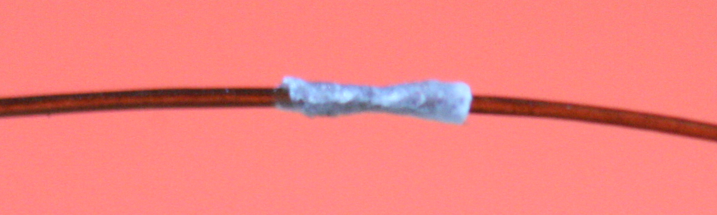 Eine Röhrchenschuppe auf einem Haar