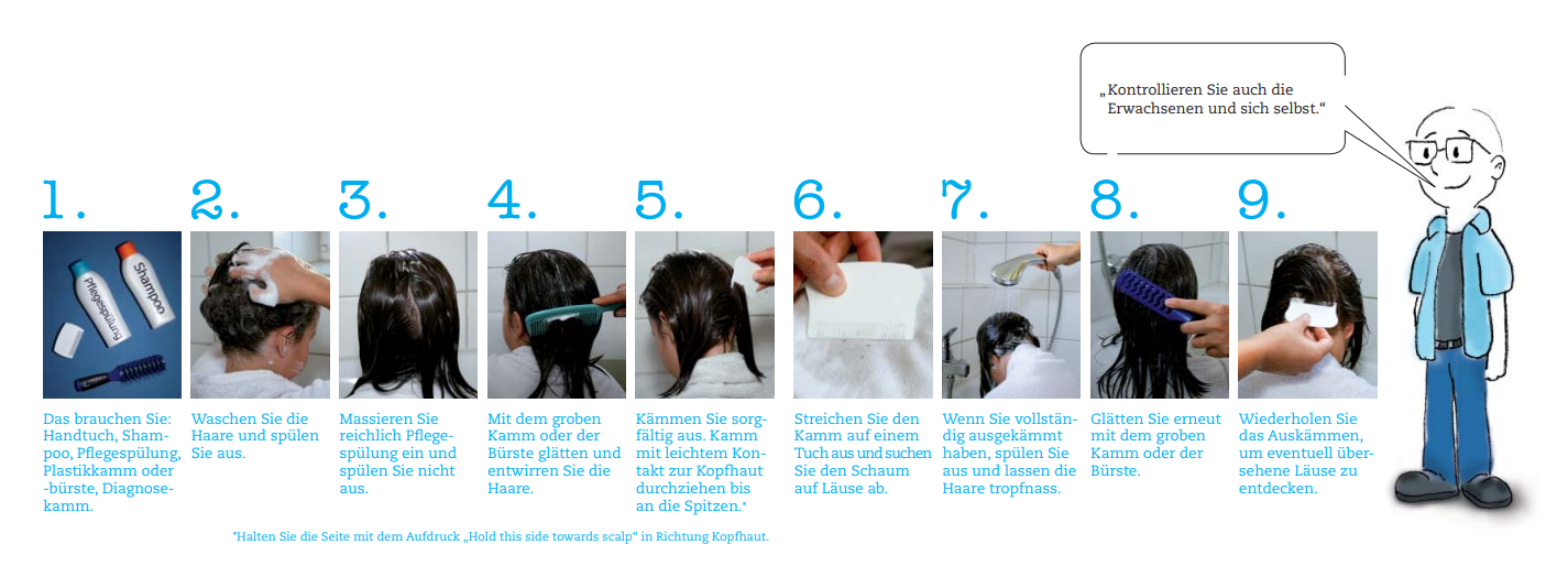 Anleitung zur Auskämmdiagnose