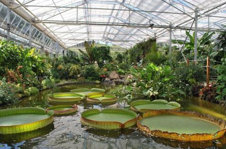 Les Jardins Suspendus, Le Havre