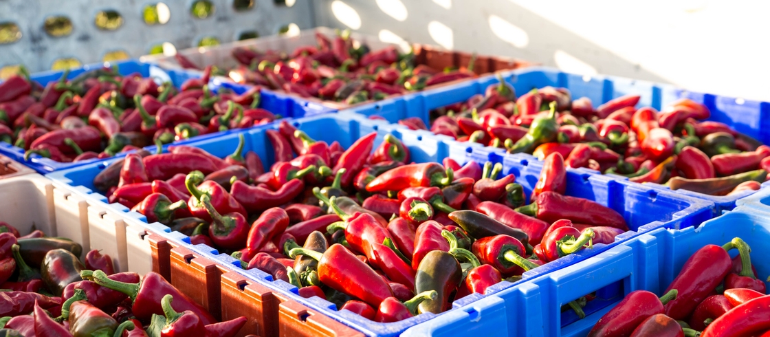 Visit Nouvelle Aquitaine South West France - 