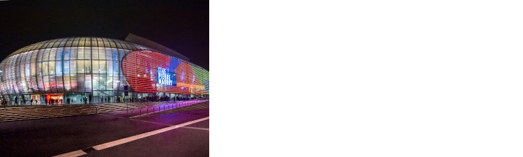 Stade lille2