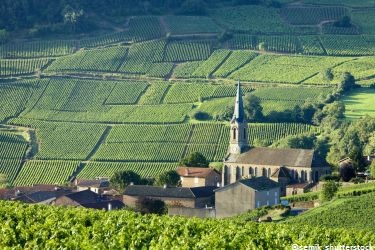 Reiseroute Burgund Vergisson © shutterstock-Richard Semik