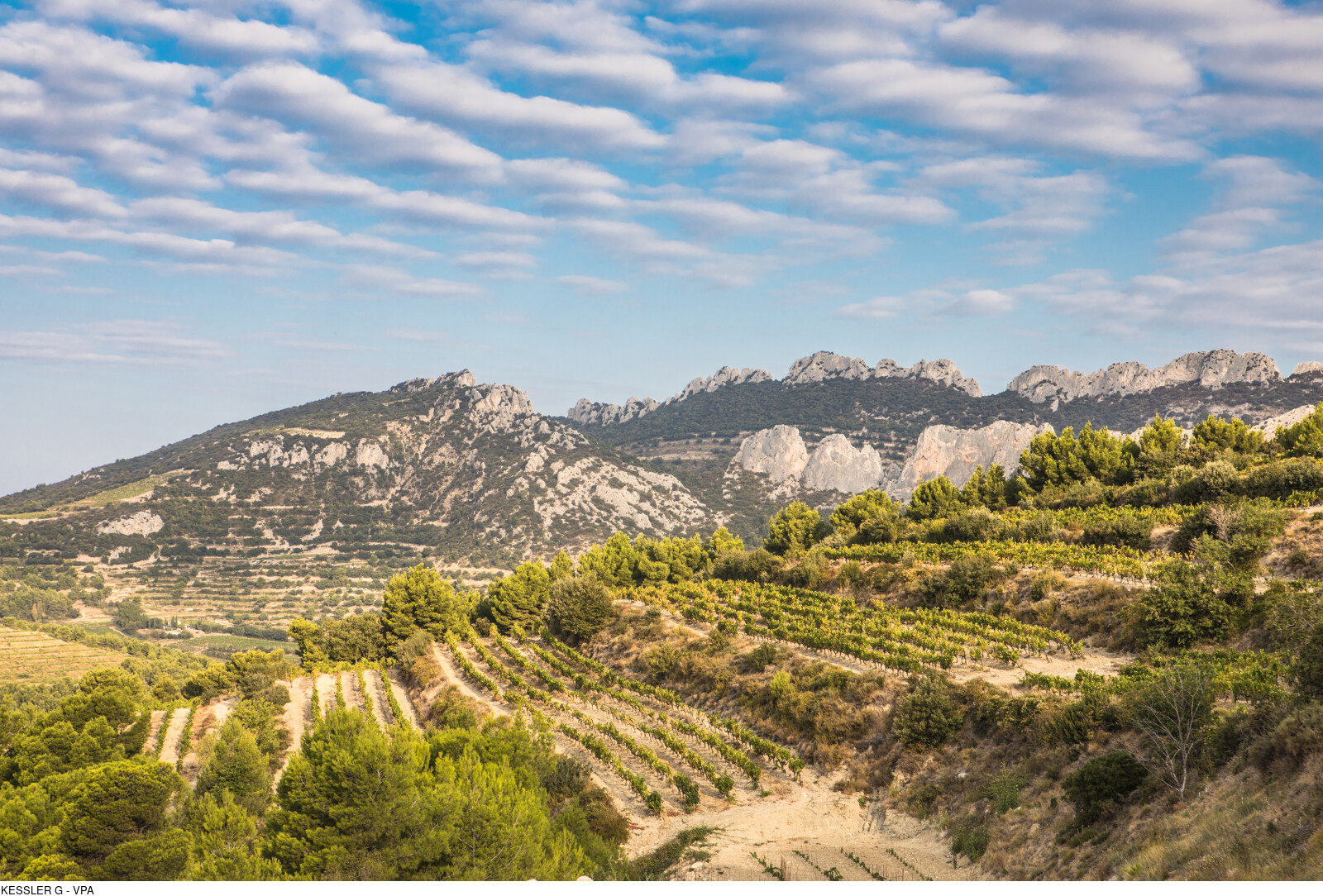 vignes-dentellesdemontmirail©Guenhaël-Kessler