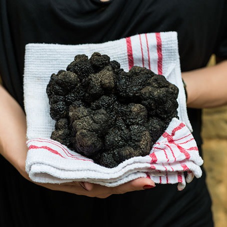 truffes noires