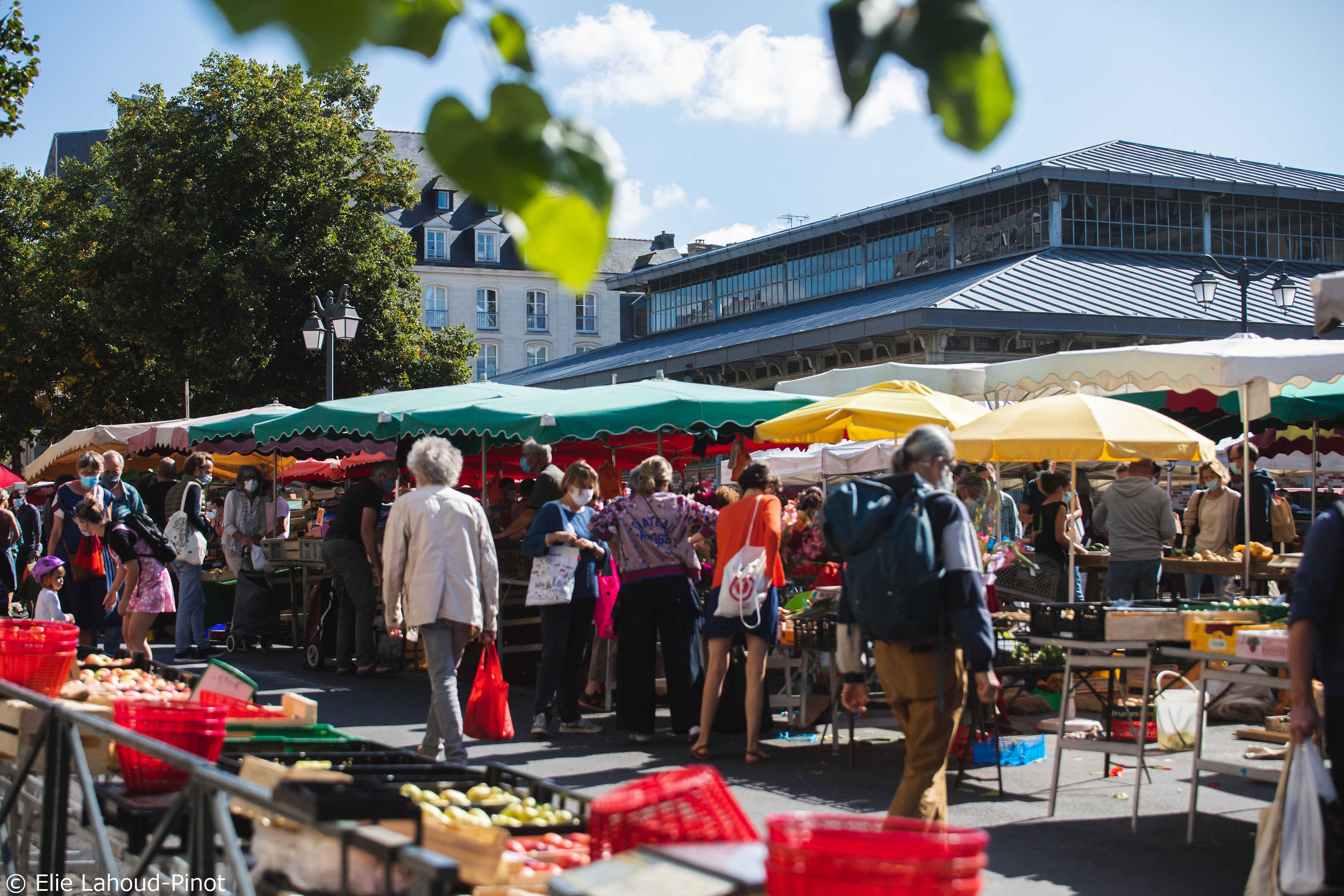 Marche des Lices © Elie Lahoud-Pinot
