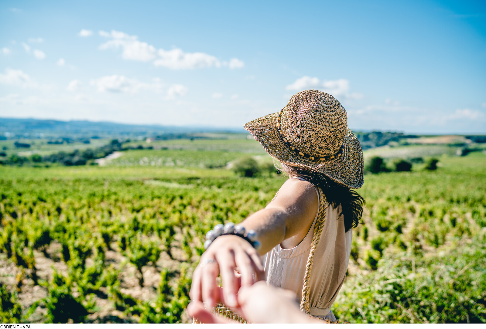 02-vignes-balades-chateauneufdupape©Thomas-OBrien