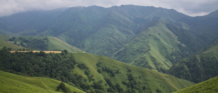 pays-basque-foret-iraty-baton-marche