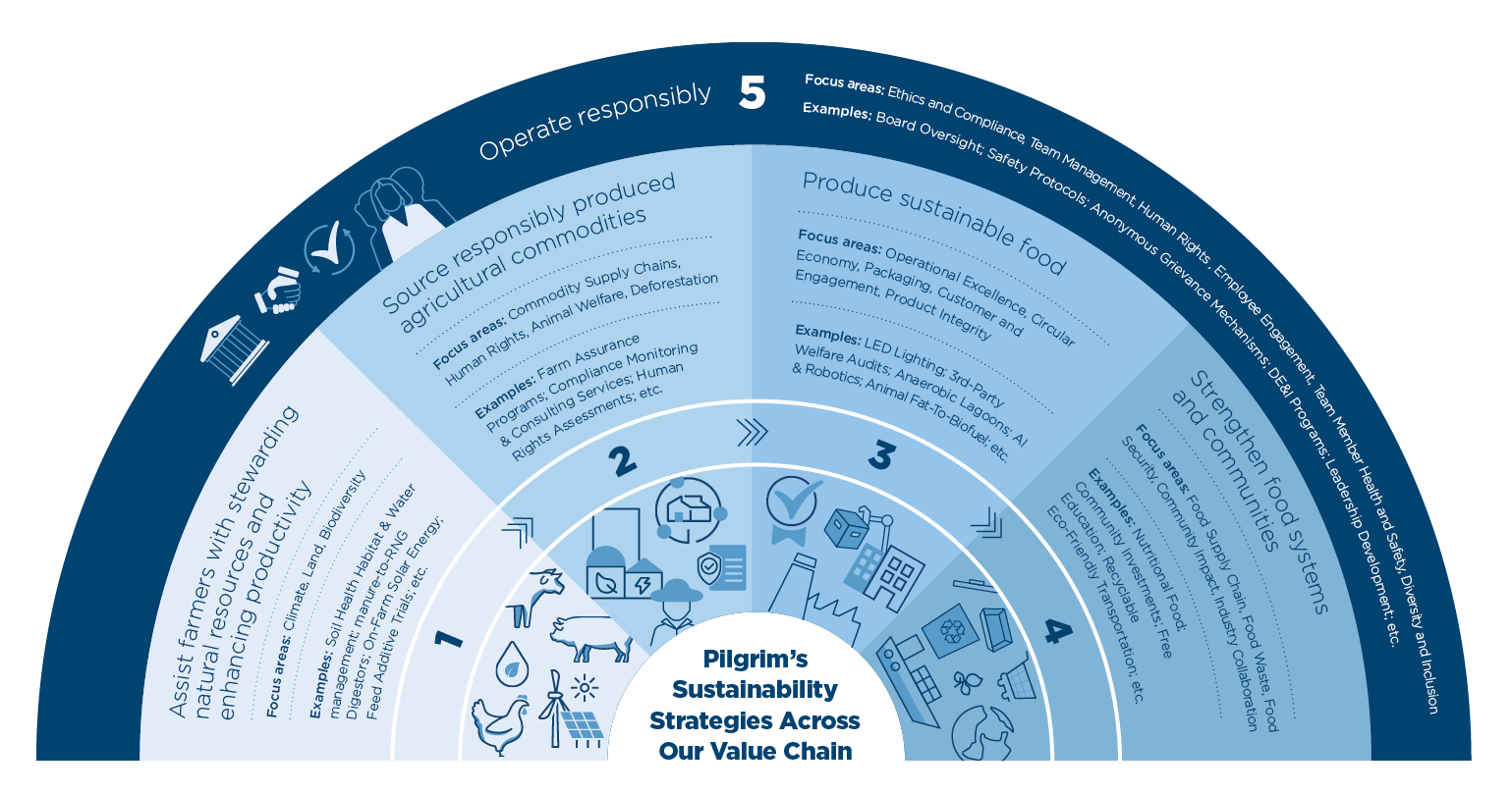 Vision, Strategy & Method Infographic