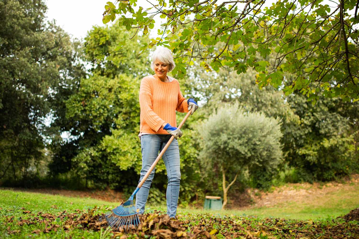 Comment entretenir votre jardin après l'intervention d'un paysagiste professionnel ?