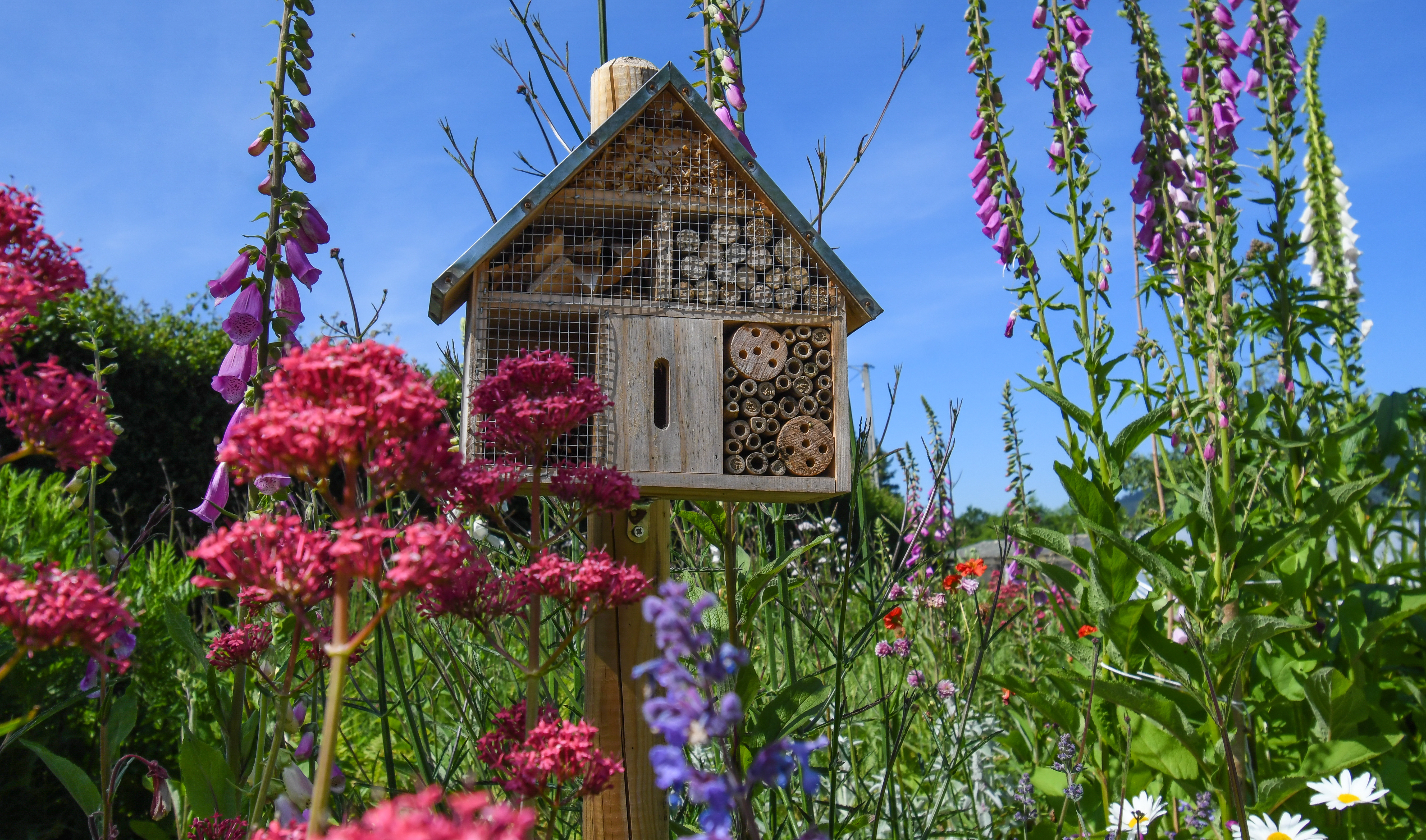 Comment aménager un jardin durable?
