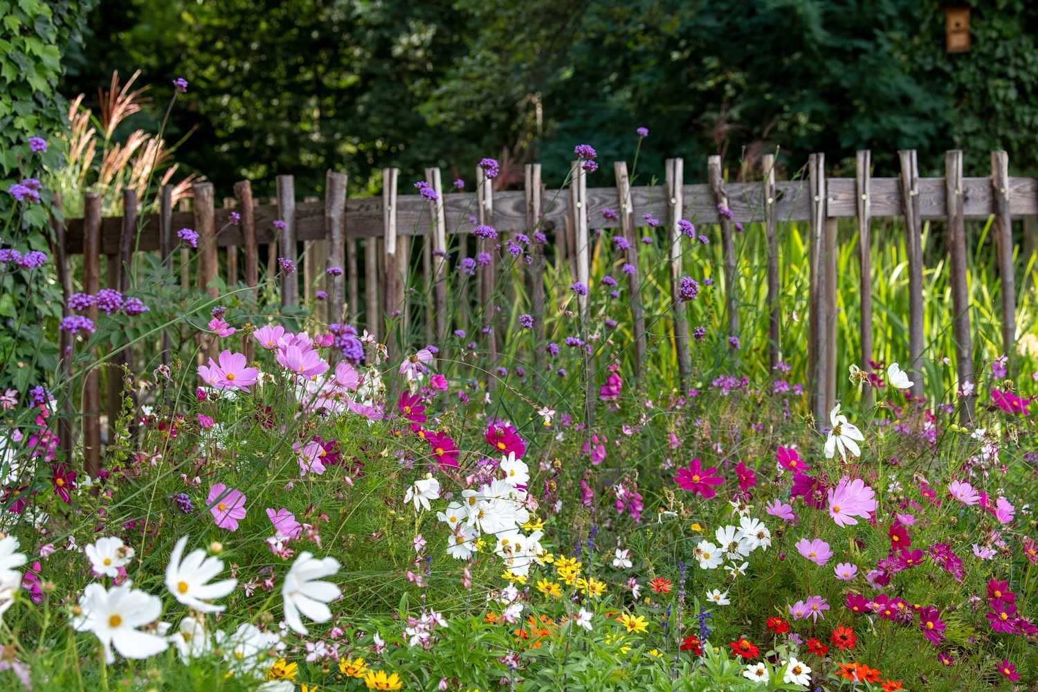 Pourquoi opter pour un Jardin Mellifère ?