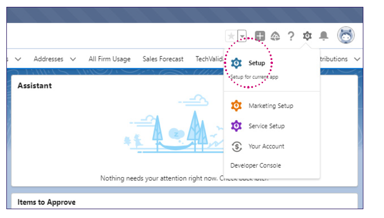 SF Plugin Configuring 1