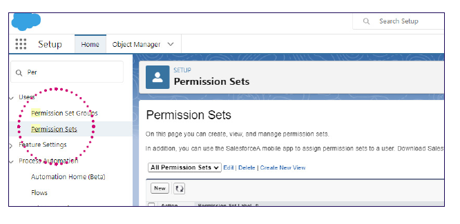 SF Plugin granting access 2