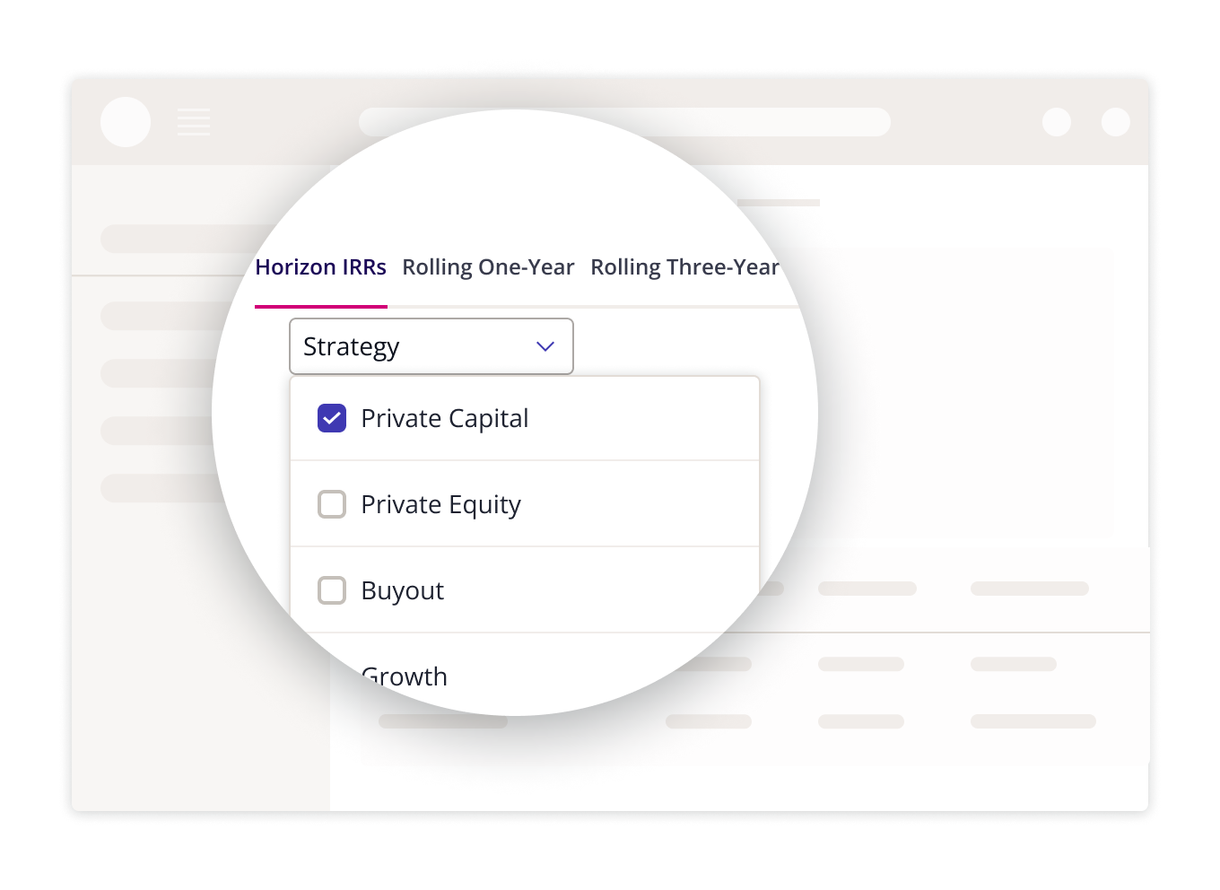 Dashboard showing private capital filter image.