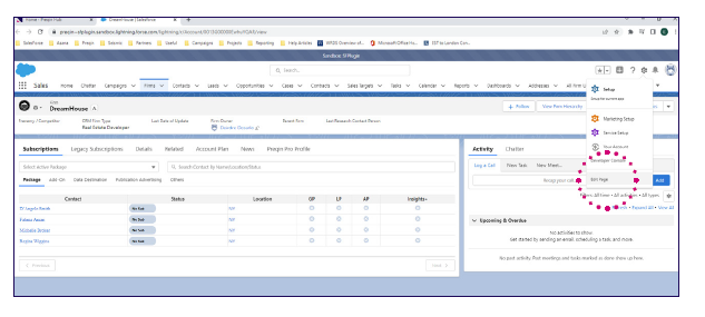 SF Plugin Accounts or Opps Pages 2