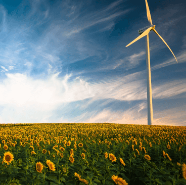 ESG trends investors plan