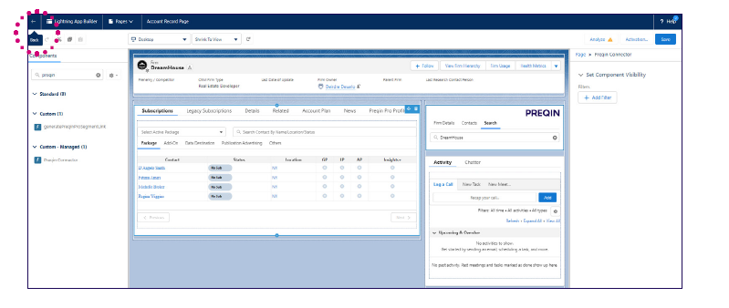 SF Plugin Accounts or Opps Pages 5