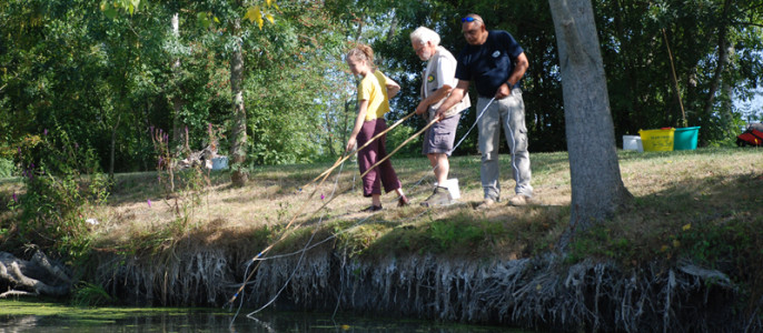 Pêche Marais Poitevin