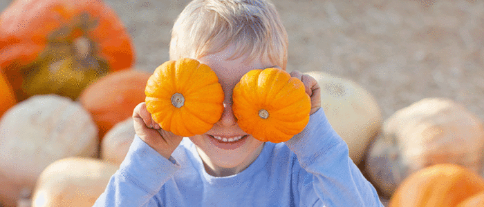 Automne à la ferme 2022